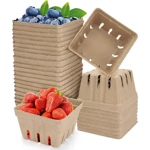 Berry Basket 20 Pack  Pulp Fiber Berry Baskets Small Blueberry Box Strawberry Basket Paper  Produce Vented Baskets for Strawberry Blueberry Raspberry Fruit Vegetable (20 Pcs)