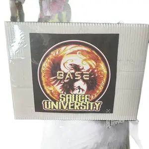 Sauce University NFL Mini Helmet