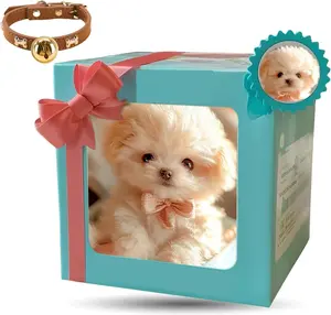 Interactive Plush Puppy Dog Toy, Electronic Walking and Barking, White Teddy Bear White