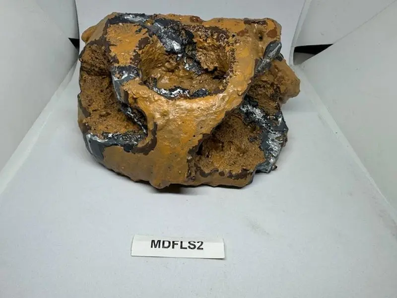 Reptile Magnetic Ledge with 5 Feeder Cups - Small Desert