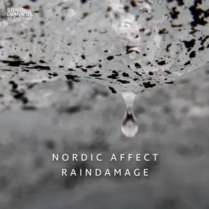 Hansson / Sigurosson / Vilmarsson / Nordic Affect - Raindamage  [COMPACT DISC - CD]