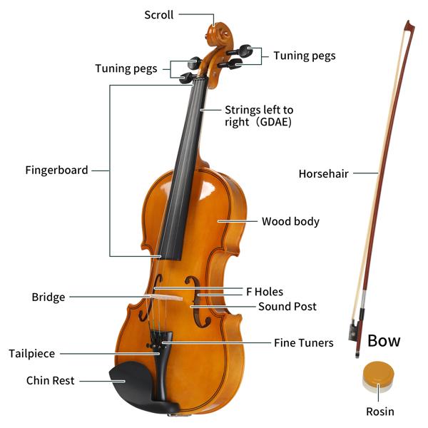 4/4 Full Size Kit For Beginners - Hand Carved Acoustic Violins Set - Fiddle Solid Wood Kit with Hard Case, Bow, Rosin, Shoulder Rest Full Size 4/4 Violin Set for Adults Beginners Students with Hard Case,Violin Bow,Shoulder Rest,Rosin,Extra 4/4 Full Size Kit For Beginners - Hand Carved Acoustic Violins Set - Fiddle Solid Wood Kit with Hard Case, Bow, Rosin, Shoulder Rest Full Size 4/4 Violin Set for Adults Beginners Students with Hard Case,Violin Bow,Shoulder Rest,Rosin,Extra