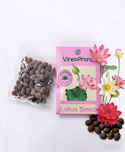 Premium Water Lily Lotus Seeds for Planting - 60Pcs Pond Bonsai Seeds, Easy-Grow Aquatic Plants for Home Garden,Perfect Aquatic Plants for Indoor/Outdoor Gardens
