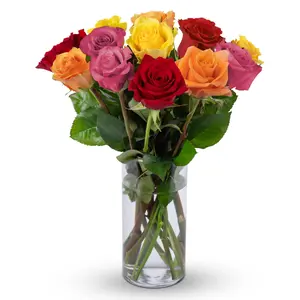 - 12 Stem Rainbow Roses (glass Vase Included) Fresh Flowers For Delivery Gift Graduation  Birthday Anniversary Sympathy Get Well Congratulations