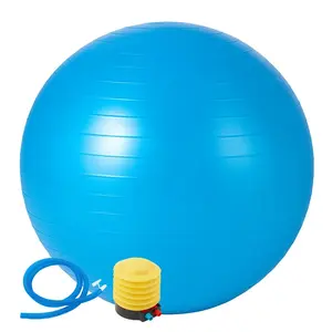 75cm fitness ball for yoga, pilates and balance training, non-slip, with quick foot pump