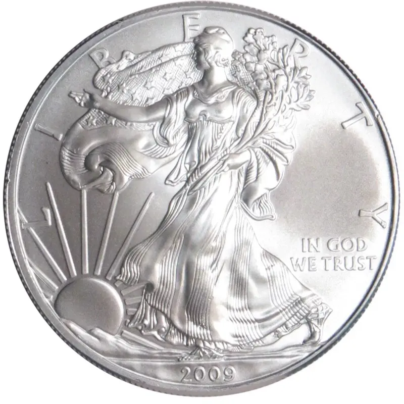 2009 Silver American Eagle in Mint Condition. 1oz Pure Silver