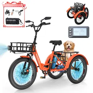 MOONCOOL TK1 Folding Electric Tricycle with Rack Bags , 750W Motor 48V Foldable Ebike Electric Trike for Adults, 20" Fat Tire 3 Wheel Electric Bicycle with Front & Rear Baskets