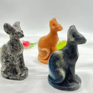 Big Hairless Cat Sphyinx Cat Egyptian Cat