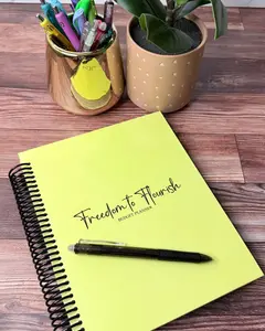 LEMON DROP | 12 MONTH BUDGET PLANNER
