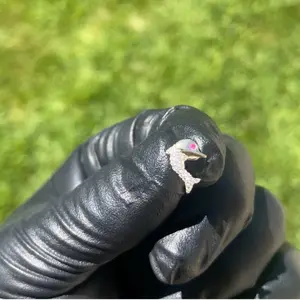 14K Yellow Gold Dolphin Earrings CZ