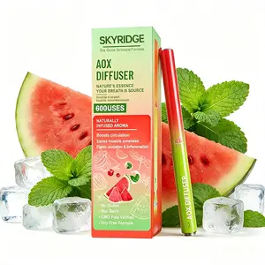 Minimalist Dual-Sided Mint Nasal Aromatherapy Stick, Great for Late-Night Work Study, Cross-Country Road Trips, Business Office Routines, Slim Pocket-Friendly Carry & Recyclable Refillable Frame