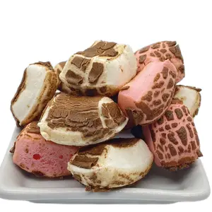 Chilldew Charleston Bites, Strawberry or Vanilla, Chocolate covered, Freeze Dried