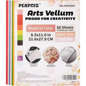 60 Sheets 12 Colors Colorful Translucent Vellum Tracing Paper 8.5 x 11in 100GSM Printable Art Paper for DIY Invitations Greeting Cards Birthday Party Decor Gift Wrapping