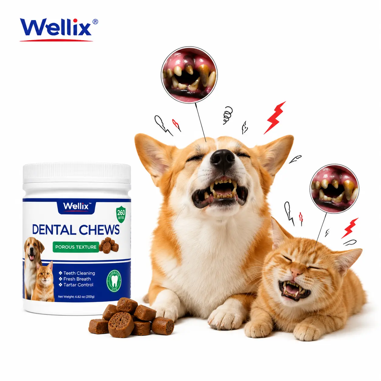 Wellix Dental Soft Treats for Cats & Small Dogs, 8.82oz Chicken Flavor, Fresh Breath & Plaque Control