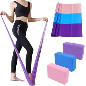 5-Piece Yoga Resistance Band Set with 2 High-Density EVA Yoga Bricks and 3 TPE Elastic Bands - Portable Stretching and Pilates Equipment Suitable for Beginners, Home Gym, Travel - Pink/Purple/Blue, Ideal Holiday Gift for Women (Valentine's Day, Mother's D