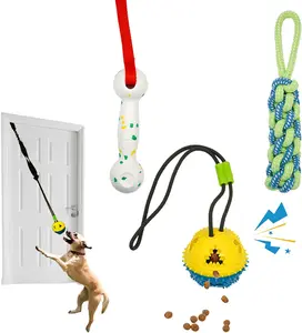 Dog Tether Tug of War Toy 4 Pieces Set, Bungee Spring Pole Hang Over Indoor Door Frame or Outdoor Yard Tree, Interactive Pull Toy for Small/Medium/Large Puppy in Bad Weather