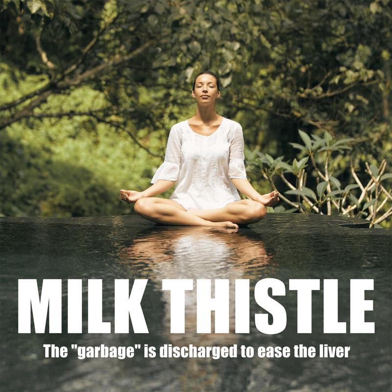 Milk Thistle & Artichoke Supplement for Liver Detox - Optimal Dose for Your Liver Support, 90 Capsules