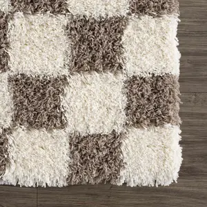 Sample Atira Brown Checkered Area Rug
