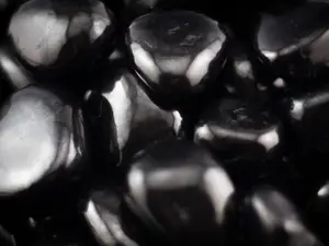 Shungite Tumbled 1 lb