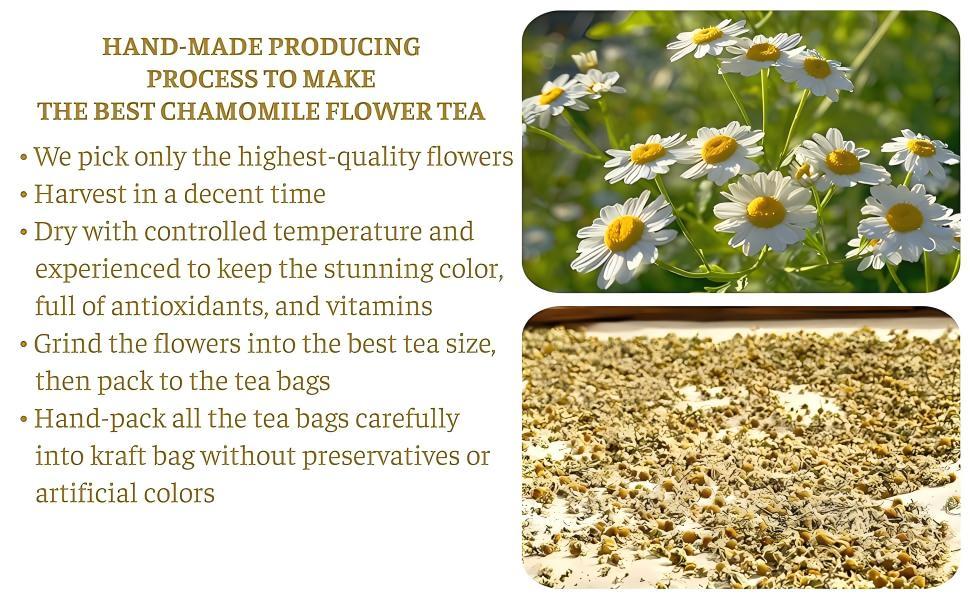 HoLeaf Chamomile Tea, 50 Individually Wrapped Tea Bags, 100% Pure Natural Herbal Tea, Caffeine Free, Compostable Eco-Friendly Bags, No Additives Preservatives, Smooth Mild Flavor, Bedtime Calming Wellness Tea HoLeaf Chamomile Tea, 50 Individually Wrapped Tea Bags, 100% Pure Natural Herbal Tea, Caffeine Free, Compostable Eco-Friendly Bags, No Additives Preservatives, Smooth Mild Flavor, Bedtime Calming Wellness Tea
