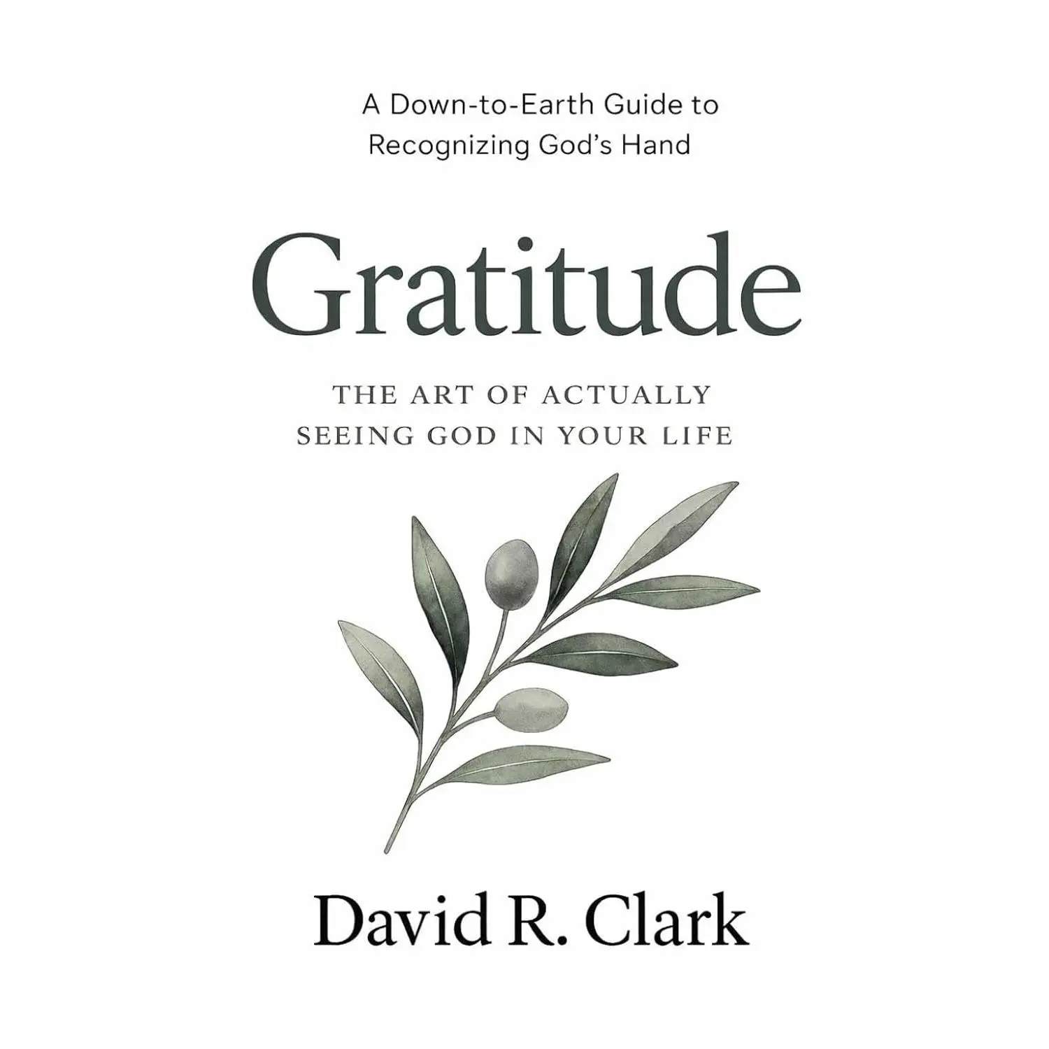 Gratitude: The Art of Actually Seeing God in Your Life (Connecting With Christ)