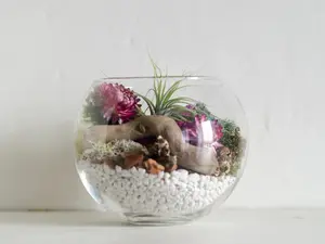 Team Building Kit, Team Building Gifts, Air Plant DIY Terrarium Kit, Natural Decor, Terrarium Decor, Friend Gift, Thank You Gift