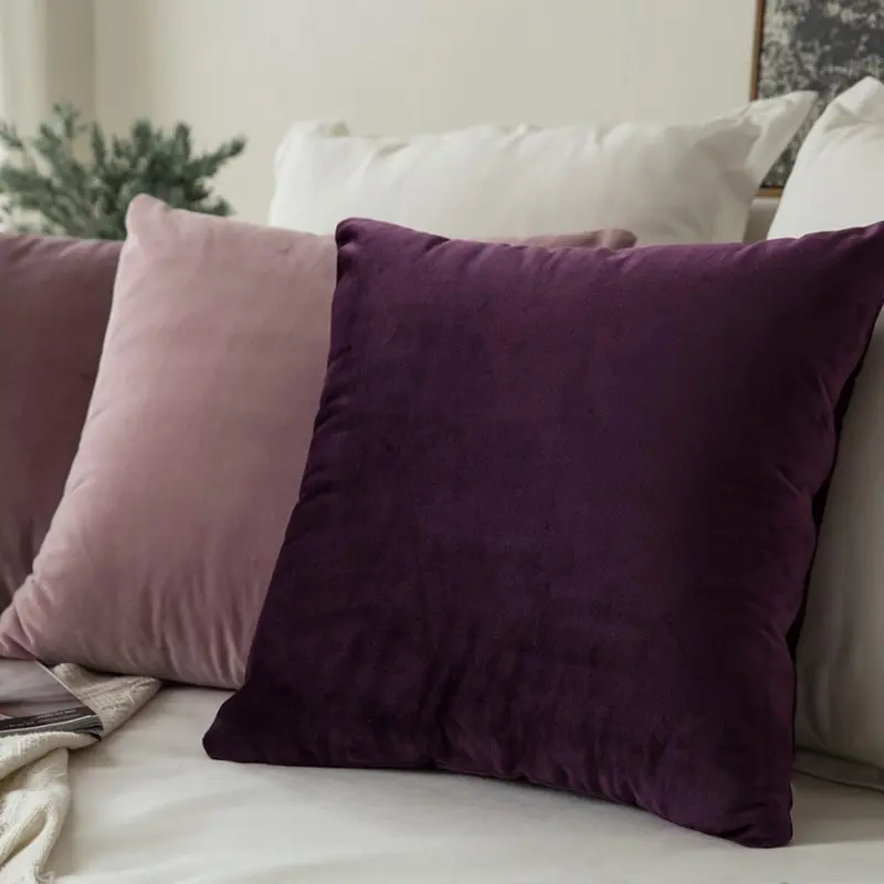 Set of 2 Velvet Soft Solid Decorative Square Throw Pillow Covers Set Cushion Case for Spring Sofa Bedroom Car 18x18 Inch