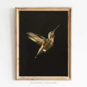 Vintage Hummingbird Photoart Print – Edward Tufte Inspired Dark Botanical Wall Art, Minimalist Wildlife Nature Illustration, 5 Size, 8x12 to 27x40 inch, Room Decor, Unframed