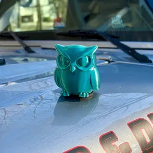 Big Magnetic Owl, The Exterior Owl High Quality Magnetic Material