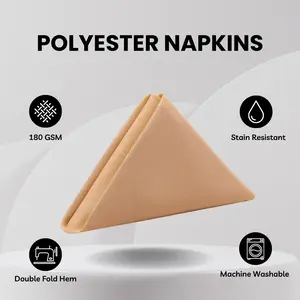 20 inch Polyester Cloth Napkins Peach (Pack of 10)