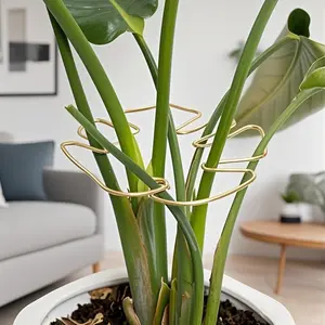 Durable Bamboo Support System, Metal Climbing Plant Trainer Set with Wooden Handles, Promotes Healthy Growth, Safe Garden Structure, Outdoor Climbing Plants