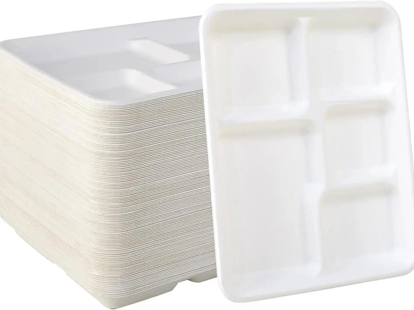 Time To Go Eco 500-Pack Plain 5-Compartment Leak-Proof Party Plates, 100% Compostable Disposable Trays for Wedding Party, Bonfire & Ceremony Use