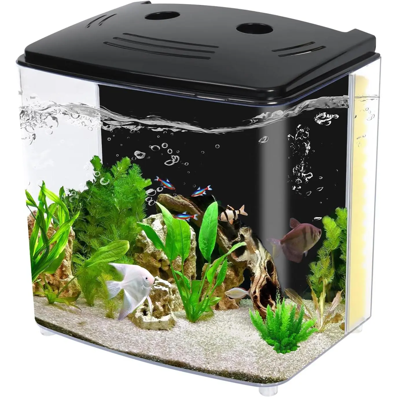 1.2 Gallon Aquarium, Small Betta Fish Tank Starter Kit with LED Light and Water Filter Pump, Rectangular