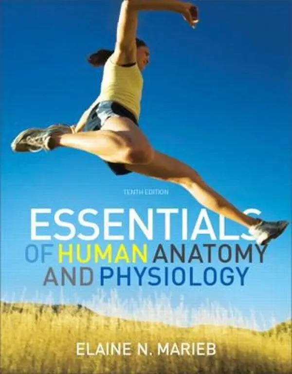 USED Book - Essentials of Human Anatomy & Physiology (10th Edition) by Elaine N. Marieb (Paperback) - english