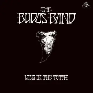The Budos Band - Long In The Tooth  [COMPACT DISC - CD] Digipack Packaging