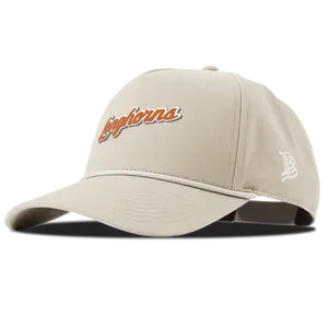 University of Texas "Texas Longhorn Script" Curved Canvas 5 Panel Rope