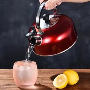 Stainless Steel Whistling Kettle - Flat-Bottom Stovetop Design for Gas & Electric Ranges | No Electricity Needed