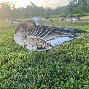 Phantom Decoys Speckelbelly geese silhouettes decoys