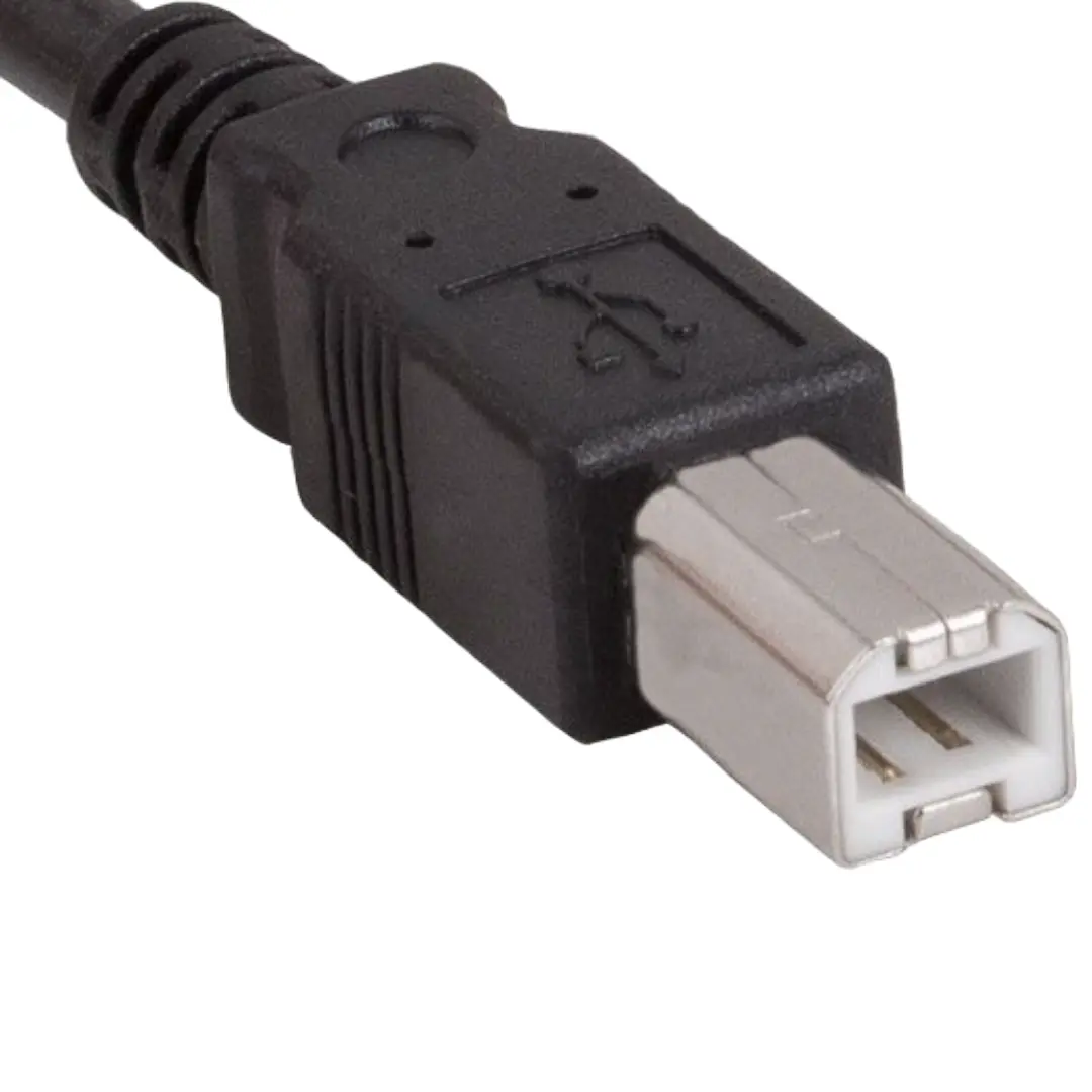 SANOXY USB 2.0 Type A Male to Type B Male Printer Scanner Cable 10 Feet High-Speed 480 Mbps Data Transfer Durable PVC Jacket Black