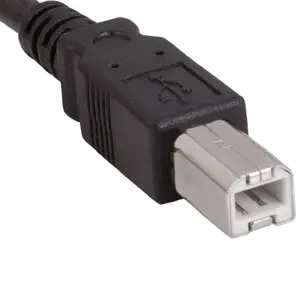 SANOXY USB 2.0 Type A Male to Type B Male Printer Scanner Cable 10 Feet High-Speed 480 Mbps Data Transfer Durable PVC Jacket Black