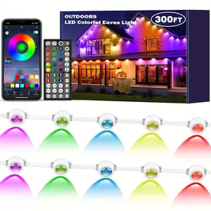 Permanent Outdoor Light, IP67 Waterproof RGB Outdoor LED Continuous Light, with App and Remote Control, Best for Parties, Valentine's Day Decoration, Garden and Gifts for Men and Women Friends Outdoor Lighting