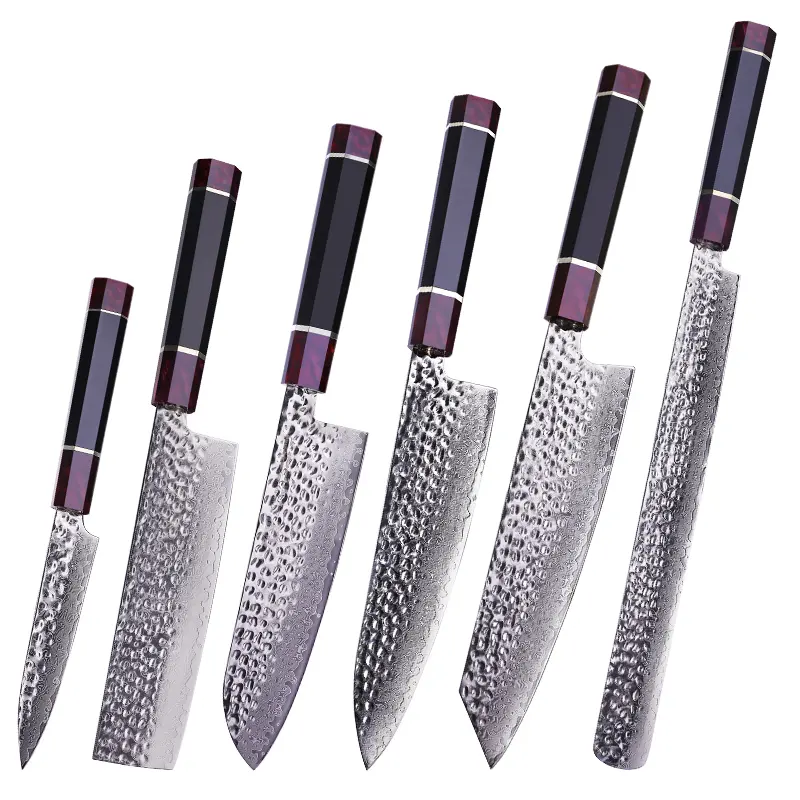 FINDKING Eternity Series 1pc Kitchen Knife with ABS sheath, Professional Japanese Chef Knife, Kiritsuke Ham Santoku Nakiri Utility Knife, 9Cr18MoV Damascus Steel Blade, Resin Octagonal Handle, for Meat, Fruits, Vegetables