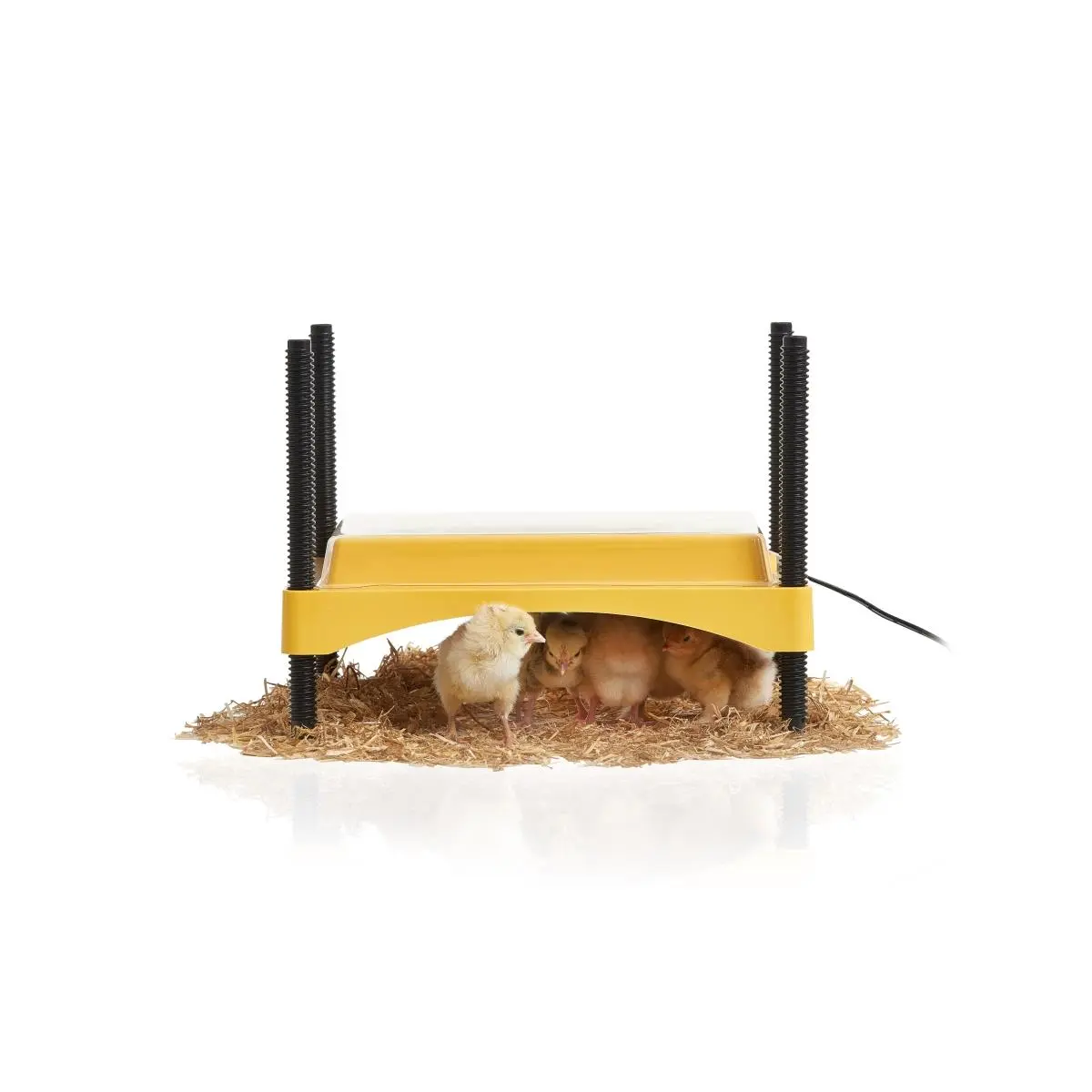 212 MAIN Ecoglow Safety 600 Chick Brooder - 12V Safety Focus Device, ABS Plastic, Energy-Saving, Economical to Run, Heat-Retain Design, Flared Skirt, Easy Cleanup, Adjustable Height, Chick/Duckling Compatible, Classroom Hatch Use, Energy Saving Device, 12
