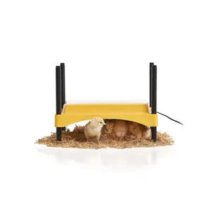 212 MAIN Eco Glow Safety 600 Chick Brooder - Energy Saving Device, Heat-Retaining Design, Flared Skirt, Easy Cleanup, Chick/Duckling Compatible, Safety-Focused, Greenhouse/Classroom Use