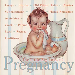 USED-The Little Big Book of Pregnancy (Hardcover)
