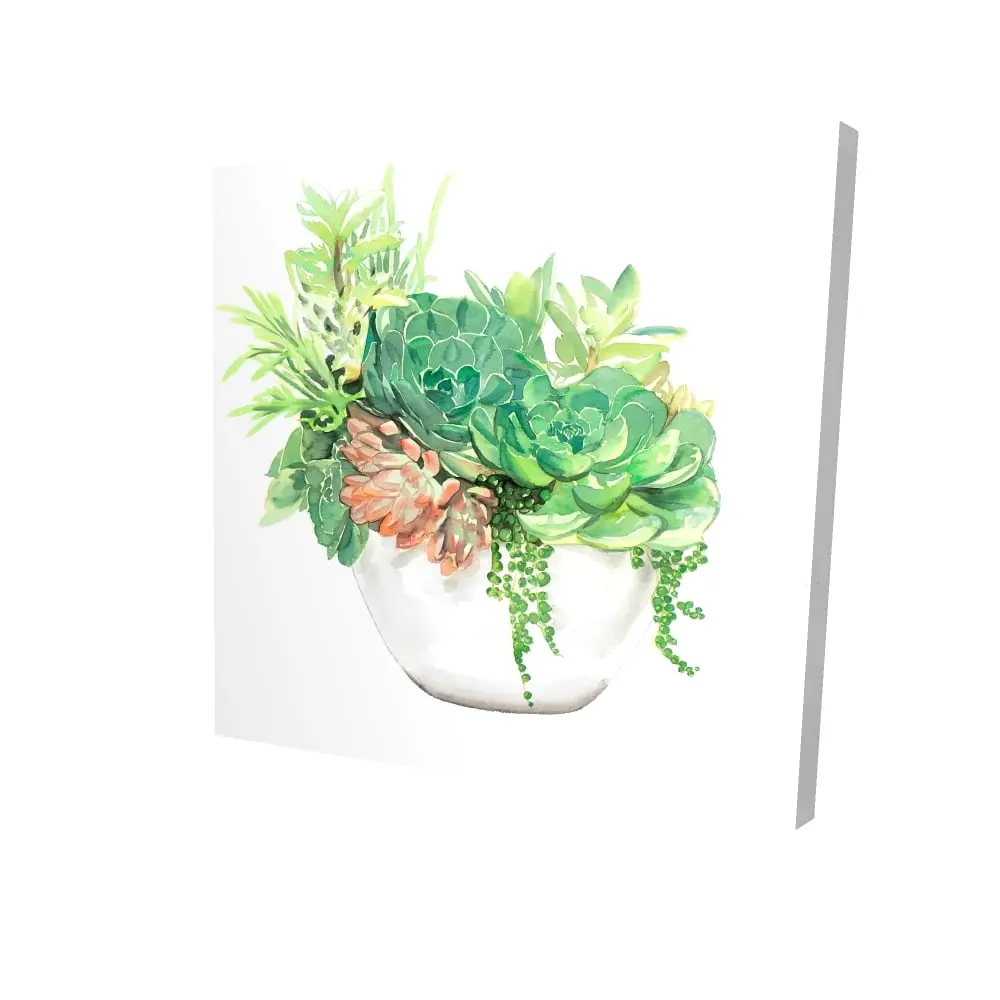 Begin Home Decor 2080-2424-FL266 24 x 24 in. Succulent Assortment Canvas - Floral & Botanical Home Decor