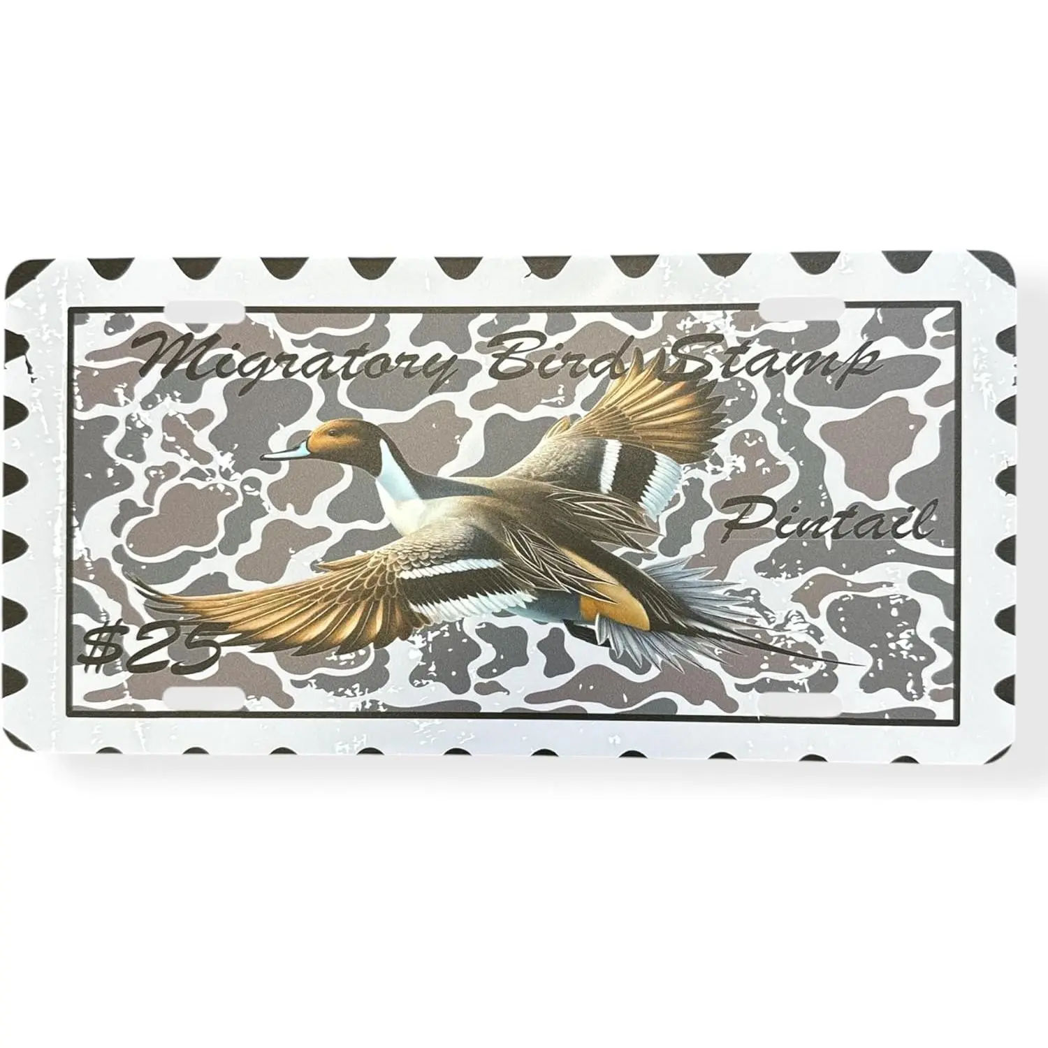 Pintail Stamp