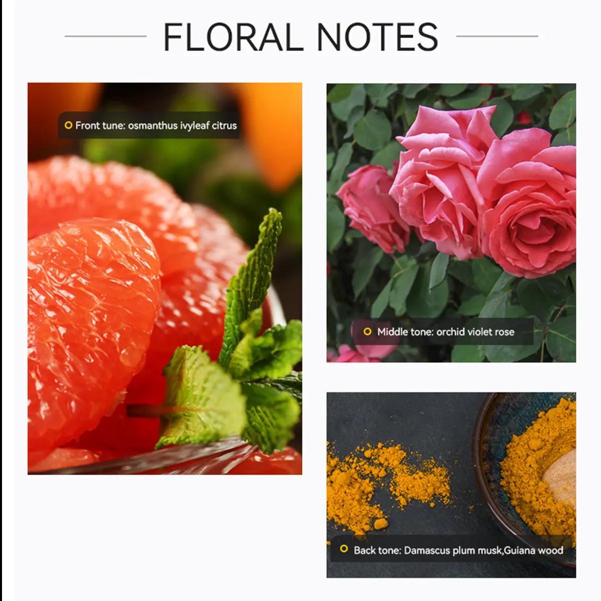 Deold Tender Love Women's Perfume - Romantic Floral Woody Fragrance with Bergamot, Iris & Vanilla - 50ml Long-Lasting Gift for Wife, Girlfriend & Mom