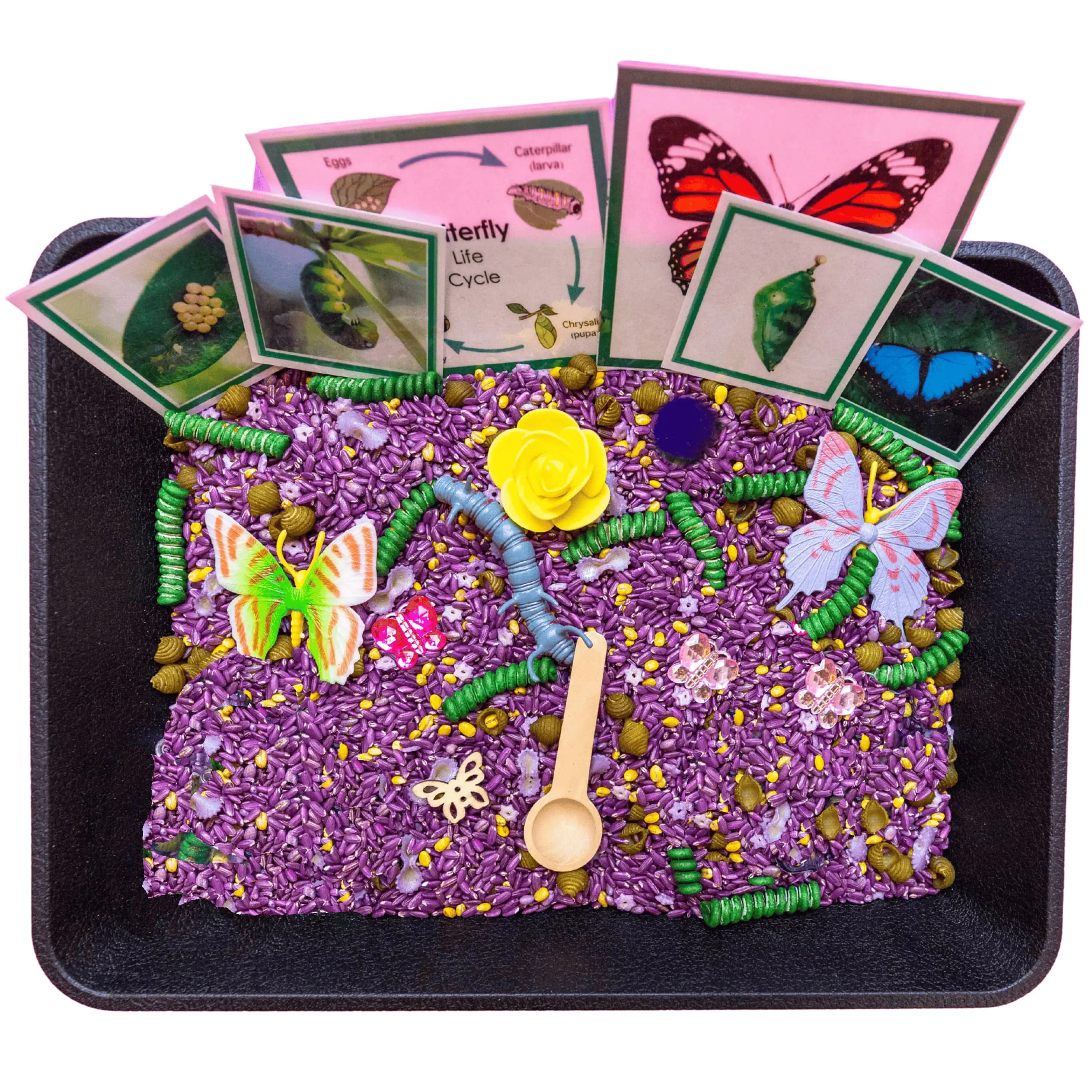 Butterfly Life Cycle Sensory Bin