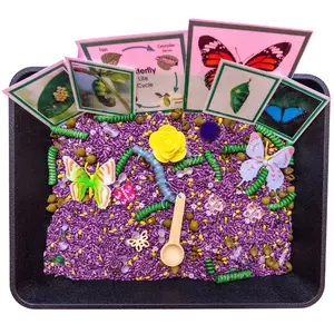 Butterfly Life Cycle Sensory Bin